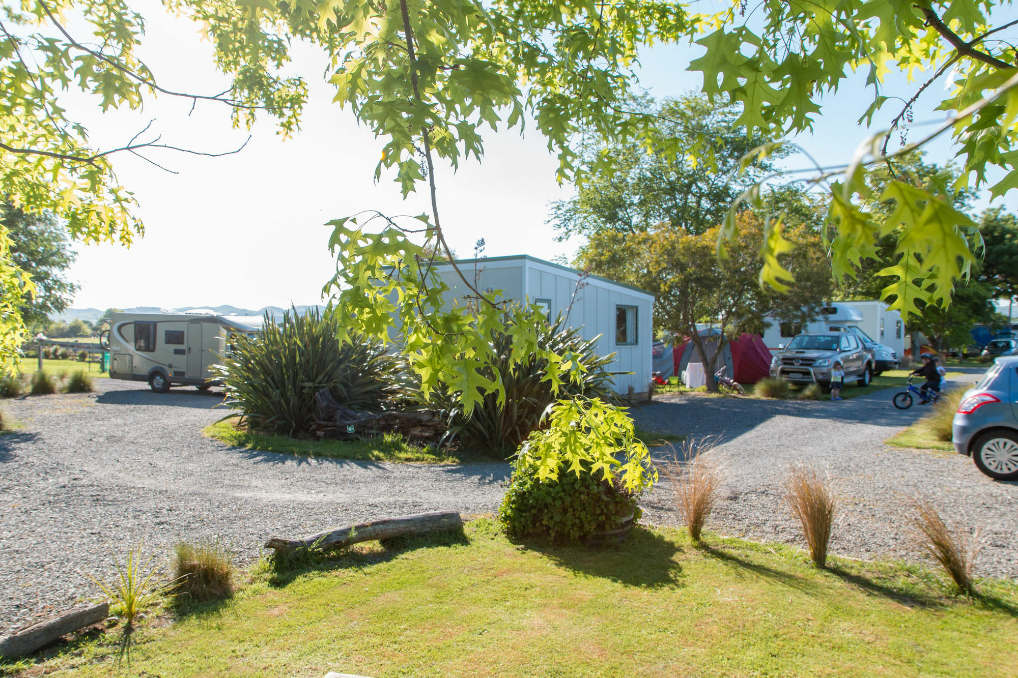 Martinborough Top 10 Holiday Park Exterior photo